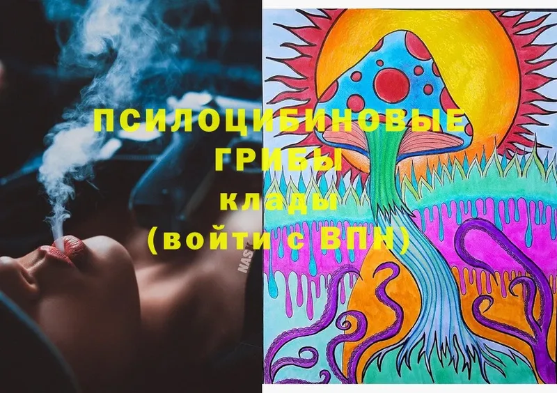 закладки  Кубинка  Псилоцибиновые грибы Psilocybine cubensis 